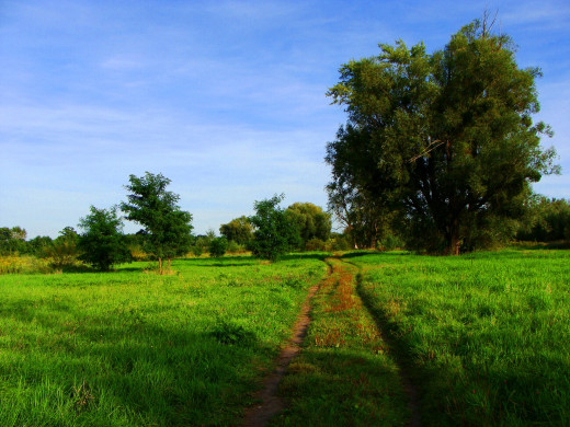 712011 (a): :2592x1944
